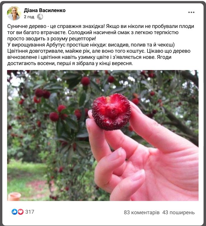 Заголовок