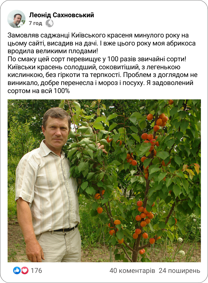 Заголовок