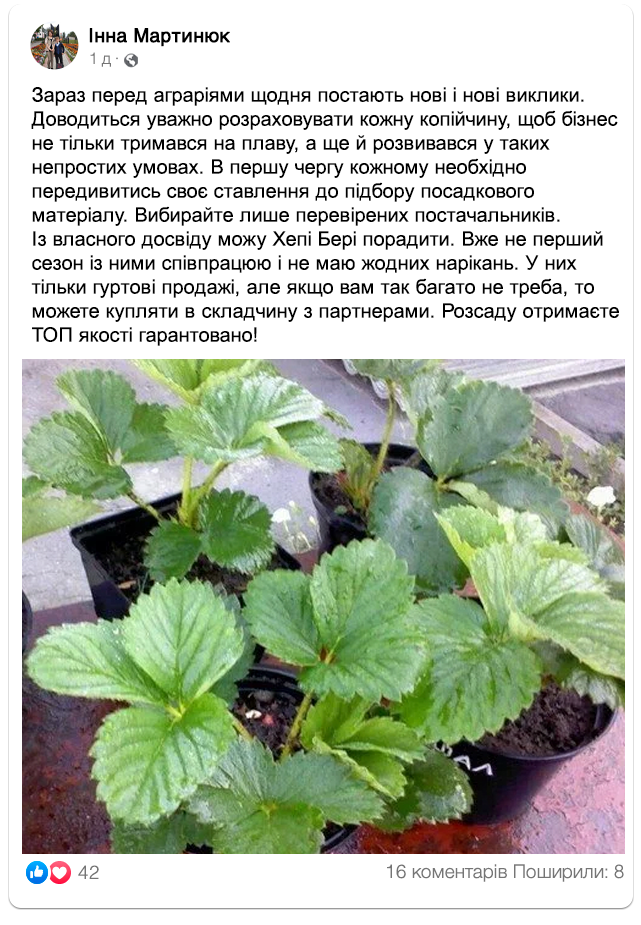 Заголовок