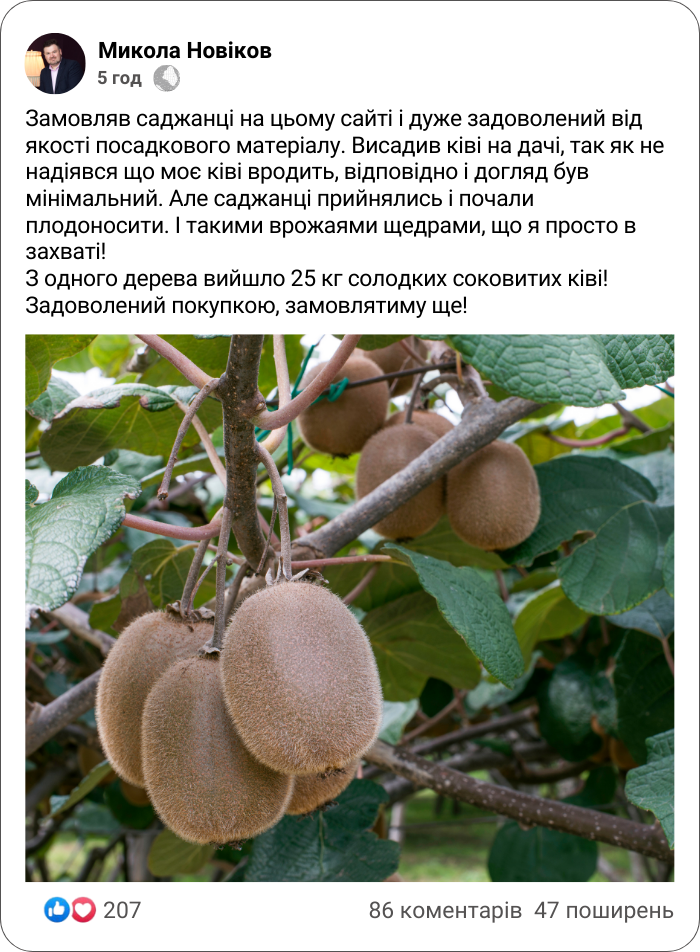 Заголовок