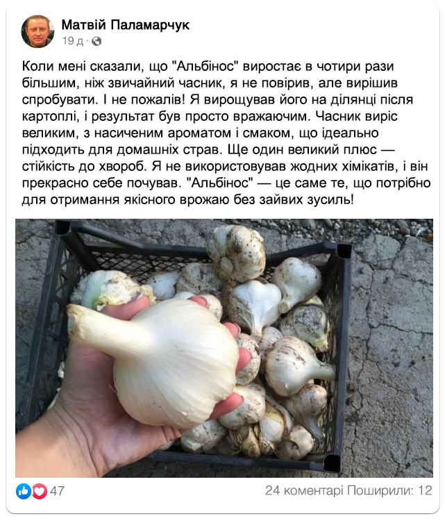 Заголовок