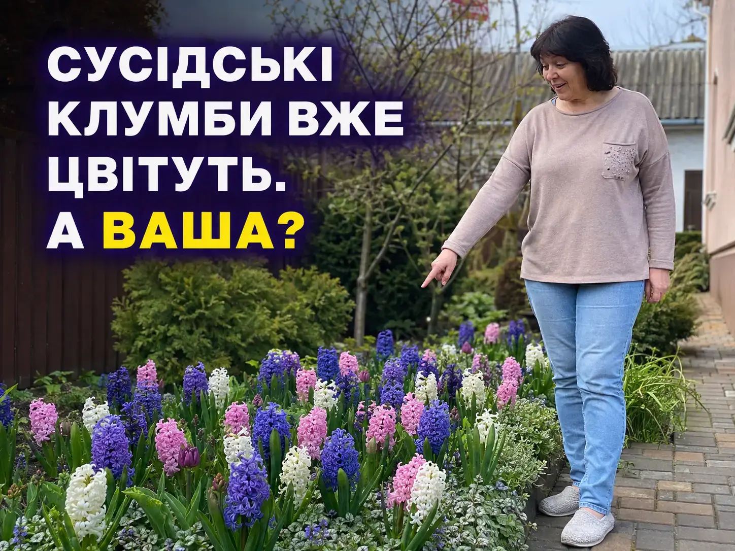 Гіацинти